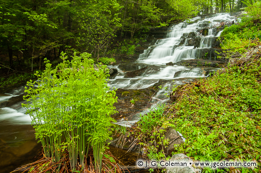 Burr Falls • Torrington, CT