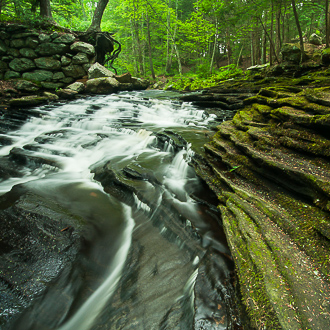 Grayville Falls