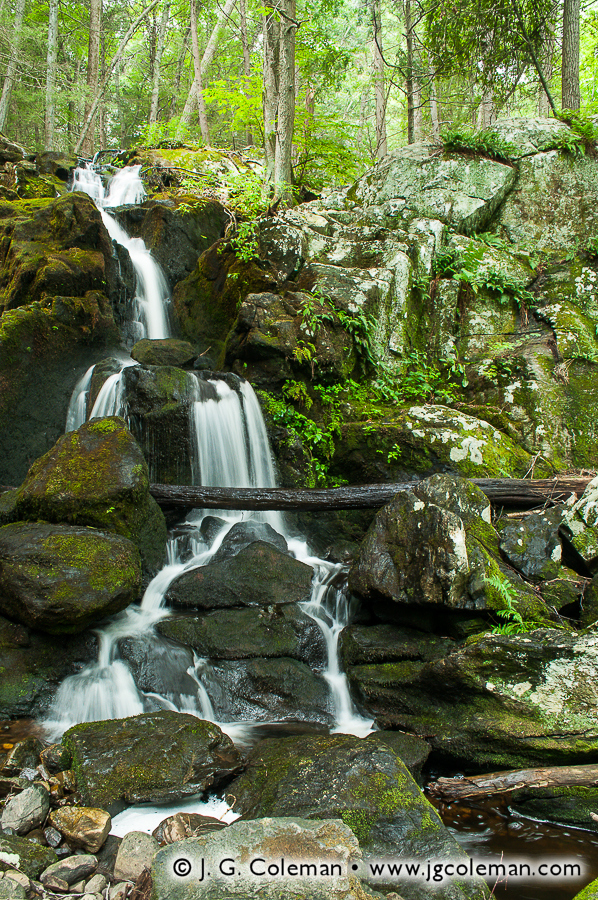 Prydden Brook Falls • Newtown, CT