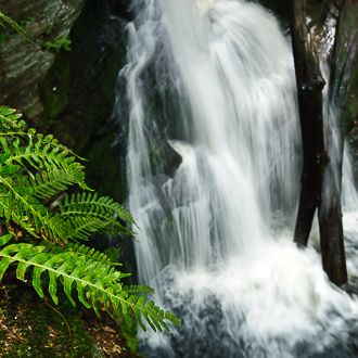 Enders Falls