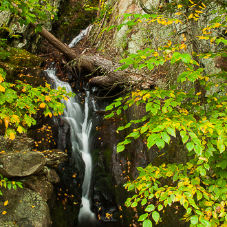 Pine Swamp Brook Falls