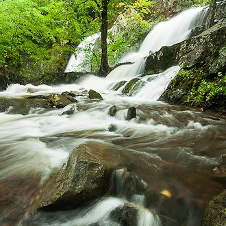 Westfield Falls