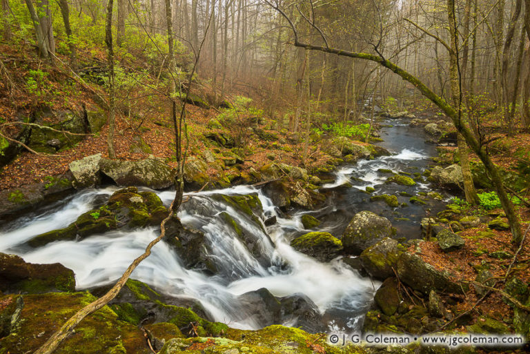 Whigville Falls